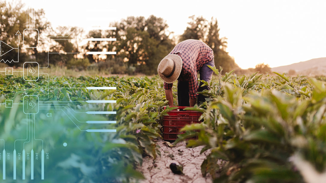 Quantum circuit diagram overlaid on image of person farming 