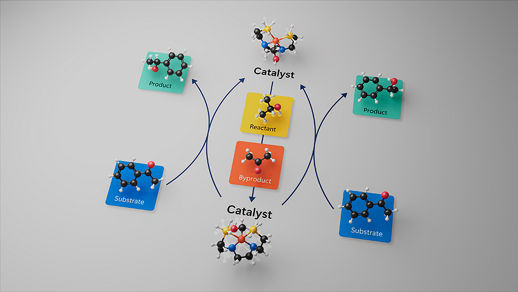 Image of an Iron caralyst diagram