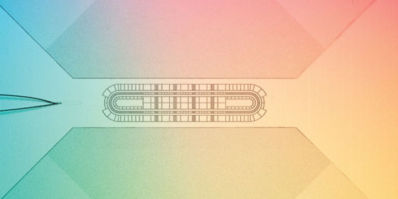 Close up image of a quantum processsor chip